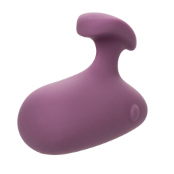 California Exotics - Stimulateur clitoridien MOD TOUCH VIOLET California Exotics - 1