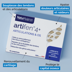 Complément alimentaire douleurs articulaires - Artifen 4+ NaturAvignon - 2