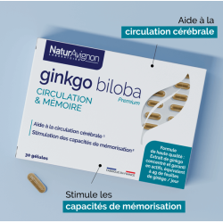 Ginkgo biloba - Stimuler les capacités de mémorisation NaturAvignon - 2