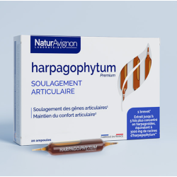 Harpagophytum ampoules - Soulagement articulaire NaturAvignon - 1