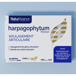 Harpagophytum gélules - Apaiser les douleurs articulaires NaturAvignon - 1