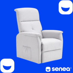 SENEA - Fauteuil releveur Léon - 1 moteur - Gamme éco - Gris clair SENEA - 1
