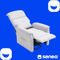 SENEA - Fauteuil releveur Léon - 1 moteur - Gamme éco - Gris clair SENEA - 6