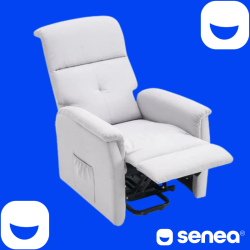 SENEA - Fauteuil releveur Augustin - 2 moteurs - Gamme éco - Gris clair SENEA - 10