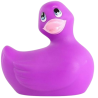 Canard vibrant