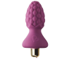 Plaisir anal